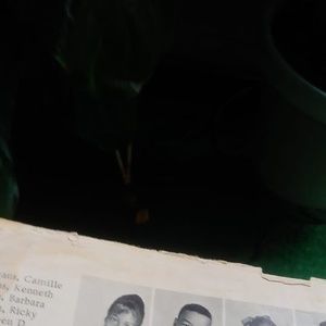 Meet your Posher, Julius